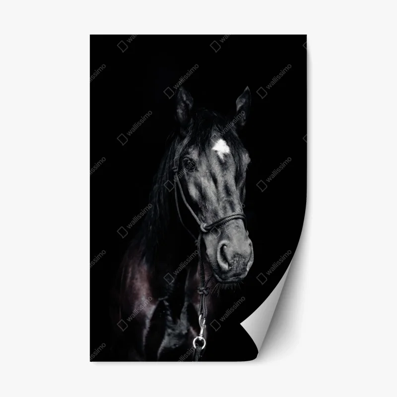 Stickers repositionnables – Wallnifity®