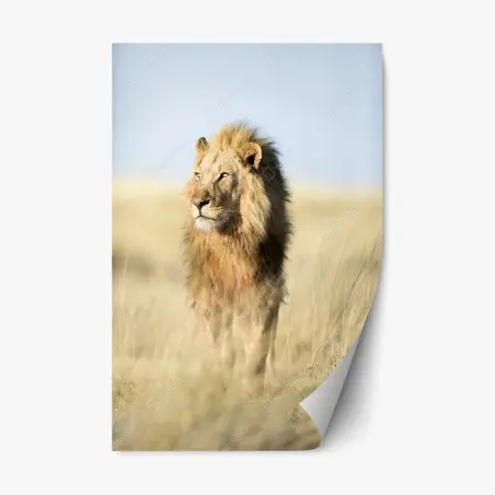 Sticker repositionnable lion majestueux dans la savane – Wallnifity®
