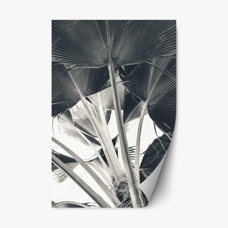 Fleurs et plantes – Wallnifity®