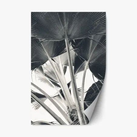Sticker repositionnable feuilles tropicales en perspective – Wallnifity®