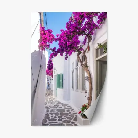 Sticker repositionnable ruelle blanche ensoleillée au bougainvillier – Wallnifity®