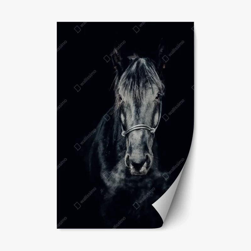 Animaux – Wallnifity®