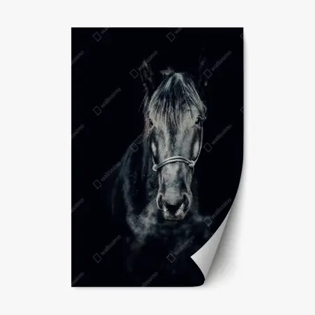 Sticker repositionnable regard perçant du cheval noir – Wallnifity®