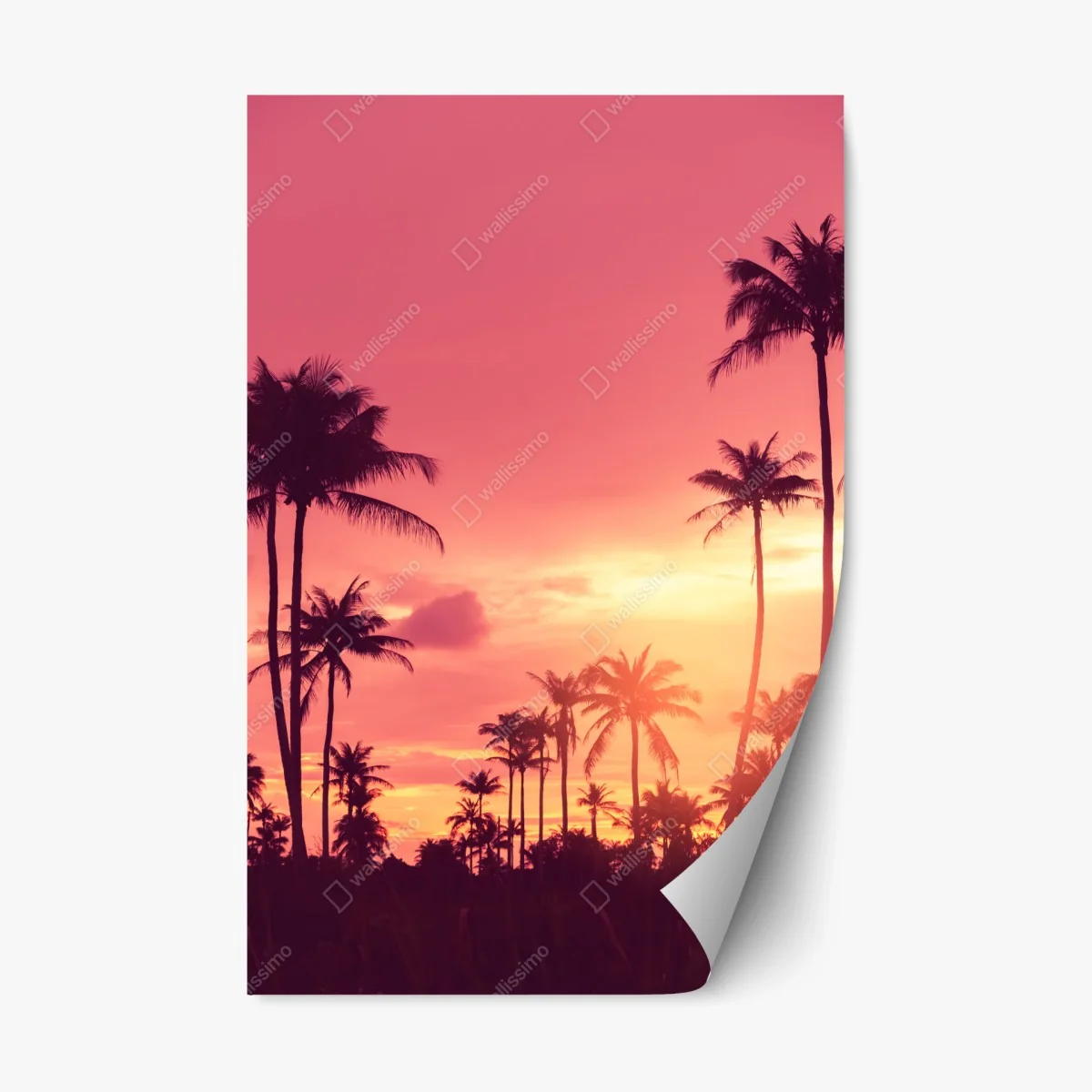 Sticker repositionnable coucher de soleil tropical aux palmiers – Wallnifity® Sticker repositionnable coucher de soleil tropical aux palmiers – Wallnifity®