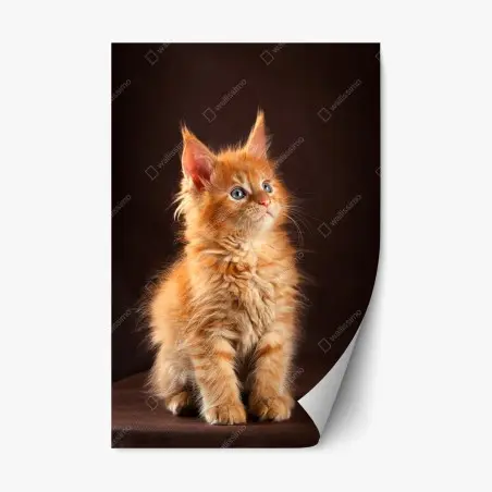 Sticker repositionnable portrait tendre d'un chaton roux aux yeux bleus – Wallnifity®