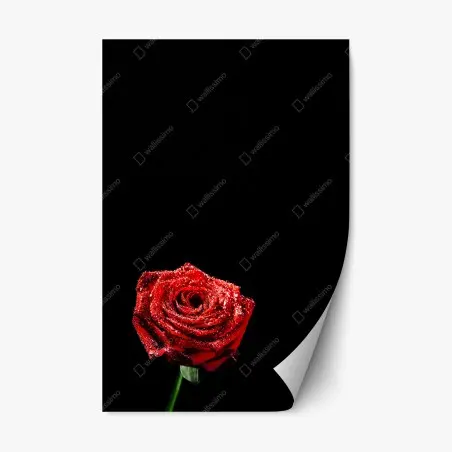 Sticker repositionnable rose rouge perlée sur fond noir – Wallnifity®