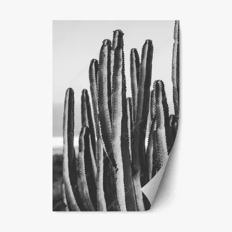 Sticker repositionnable cactus minimaliste en noir et blanc pour décoration murale – Wallnifity®