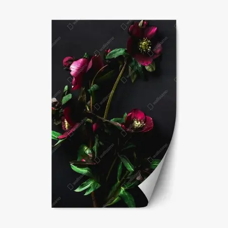 Sticker repositionnable couronne florale bordeaux sur fond noir – Wallnifity®