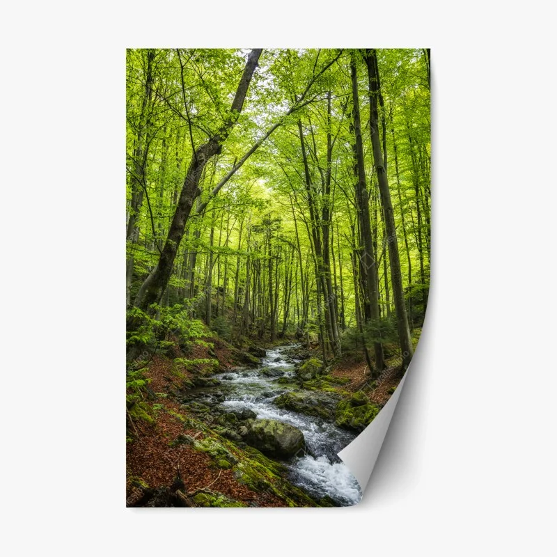 Sticker repositionnable forêt verdoyante et ruisseau paisible – Wallnifity®