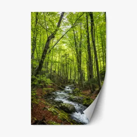 Sticker repositionnable forêt verdoyante et ruisseau paisible – Wallnifity®
