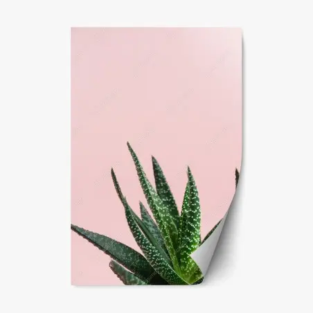 Sticker repositionnable aloe minimaliste sur fond rose – Wallnifity®