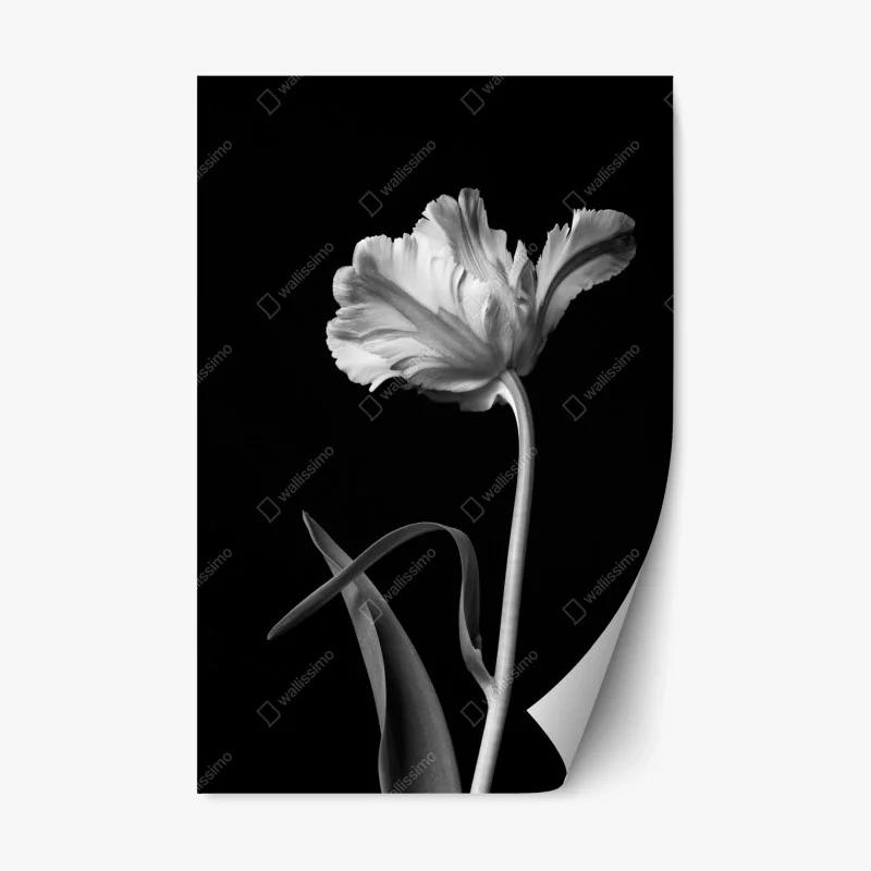 Sticker repositionnable élégance florale en noir et blanc – Wallnifity®