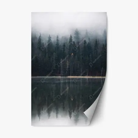 Sticker repositionnable forêt brumeuse au bord du lac, reflet apaisant – Wallnifity®