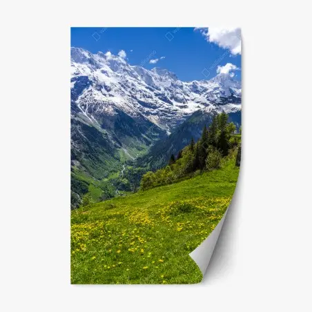 Sticker repositionnable panorama alpin fleuri au printemps – Wallnifity®
