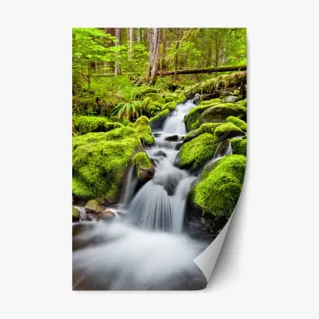 Sticker repositionnable cascade sereine de Sol Duc dans la forêt d'Olympic – Wallnifity®