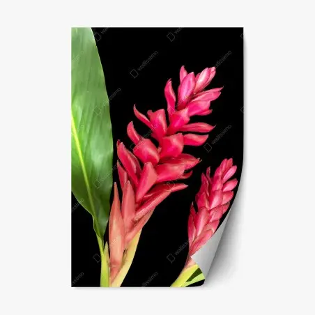 Sticker repositionnable éclat tropical gingembre torchère rouge sur fond noir – Wallnifity®
