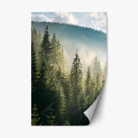 Sticker repositionnable brume matinale sur la forêt d'épicéas – Wallnifity®