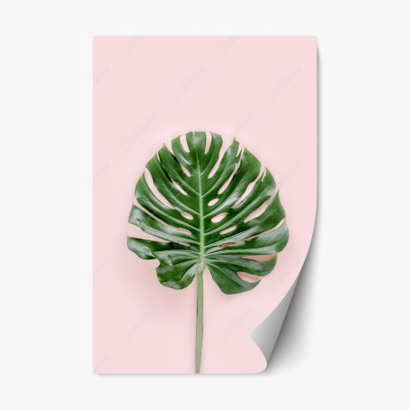 Sticker repositionnable feuille de monstera sur fond rose – Wallnifity®