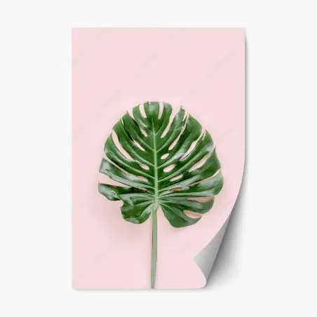 Sticker repositionnable feuille de monstera sur fond rose – Wallnifity®