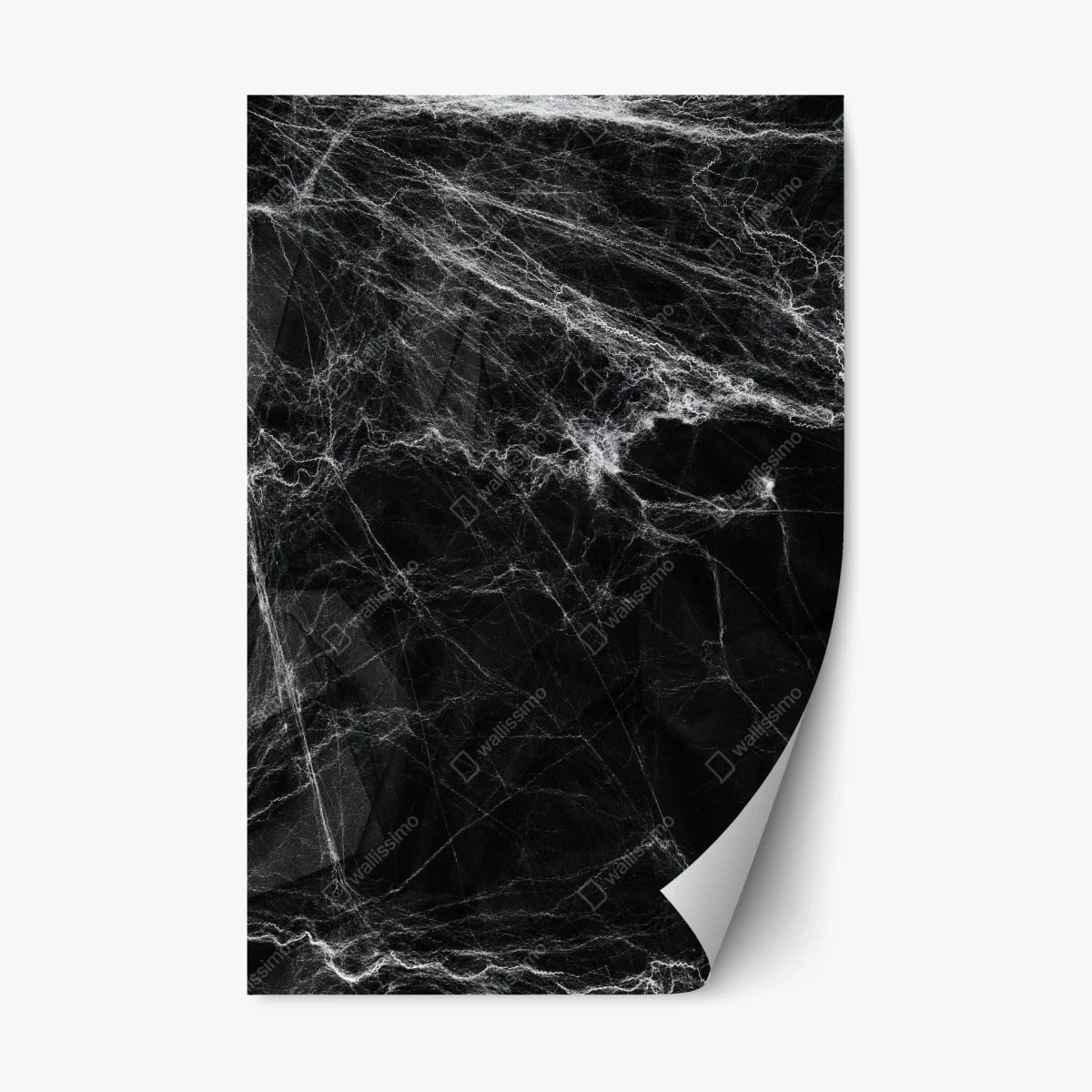 Sticker repositionnable toile d'araignée spectrale sur fond noir – Wallnifity® Sticker repositionnable toile d'araignée spectrale sur fond noir – Wallnifity®