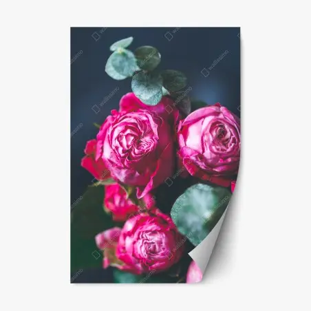 Sticker repositionnable roses fuchsia en gros plan sur fond bleu – Wallnifity®