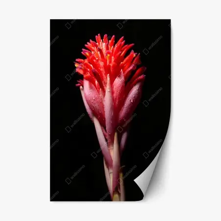 Sticker repositionnable éclat floral tropical en gros plan – Wallnifity®