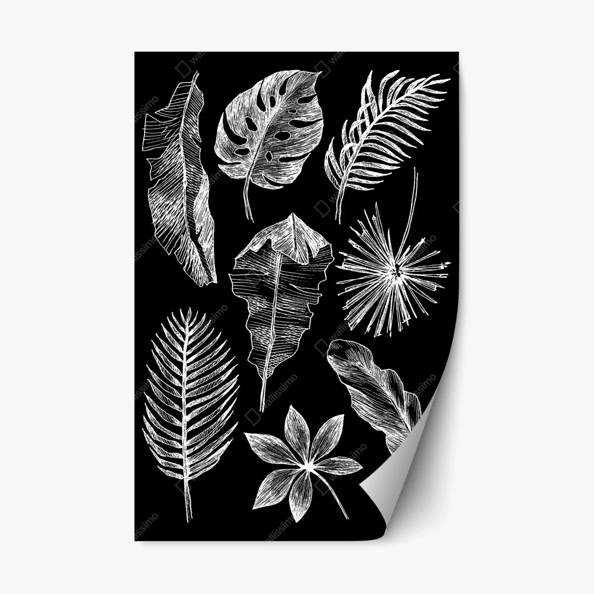 Sticker repositionnable motifs de feuilles tropicales en croquis blanc et noir – Wallnifity® Sticker repositionnable motifs de feuilles tropicales en croquis blanc et noir – Wallnifity®