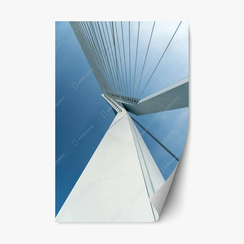 Moderne – Wallnifity®