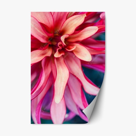 Sticker repositionnable éclosion corail: composition florale en gros plan – Wallnifity®