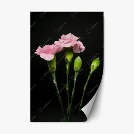 Sticker repositionnable bouquet d'œillets roses sur fond noir – Wallnifity®