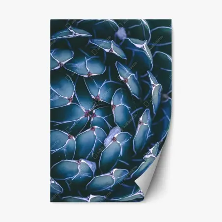 Sticker repositionnable motif géométrique de succulente en teintes bleu-vert – Wallnifity®