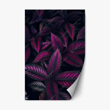 Sticker repositionnable feuillage fuchsia nocturne – Wallnifity®