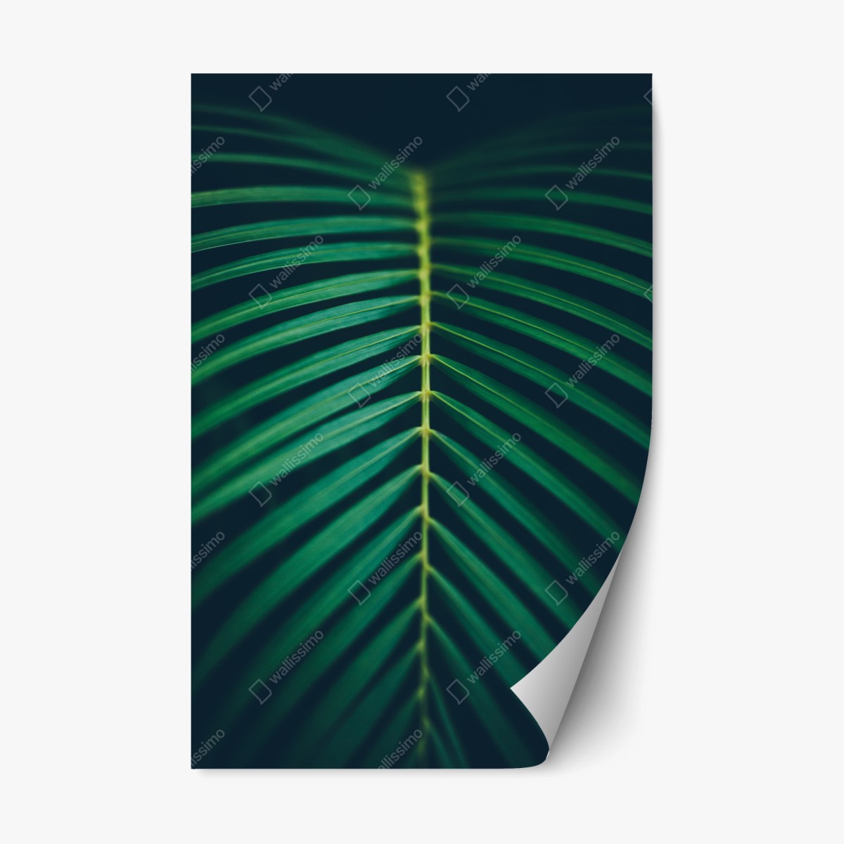 Sticker repositionnable feuille de palmier en composition verticale – Wallnifity®