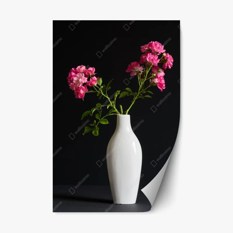 Fleurs et plantes – Wallnifity®