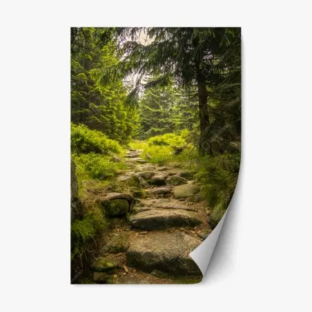 Sticker repositionnable chemin forestier verdoyant – Wallnifity®