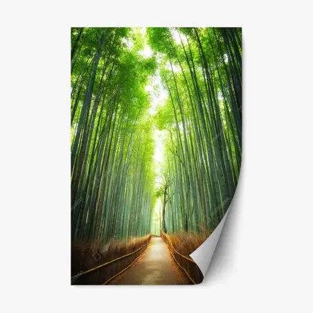 Sticker repositionnable allée de bambous d'Arashiyama – Wallnifity®