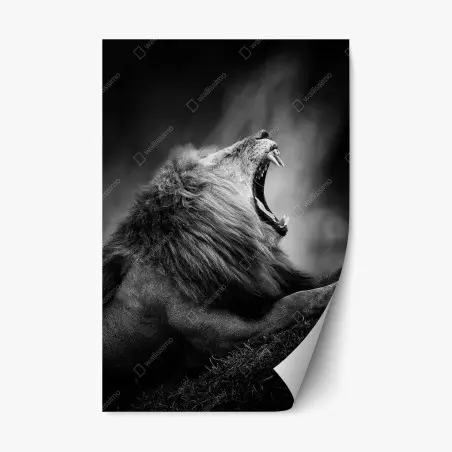 Sticker repositionnable roi de la savane en noir et blanc – Wallnifity®
