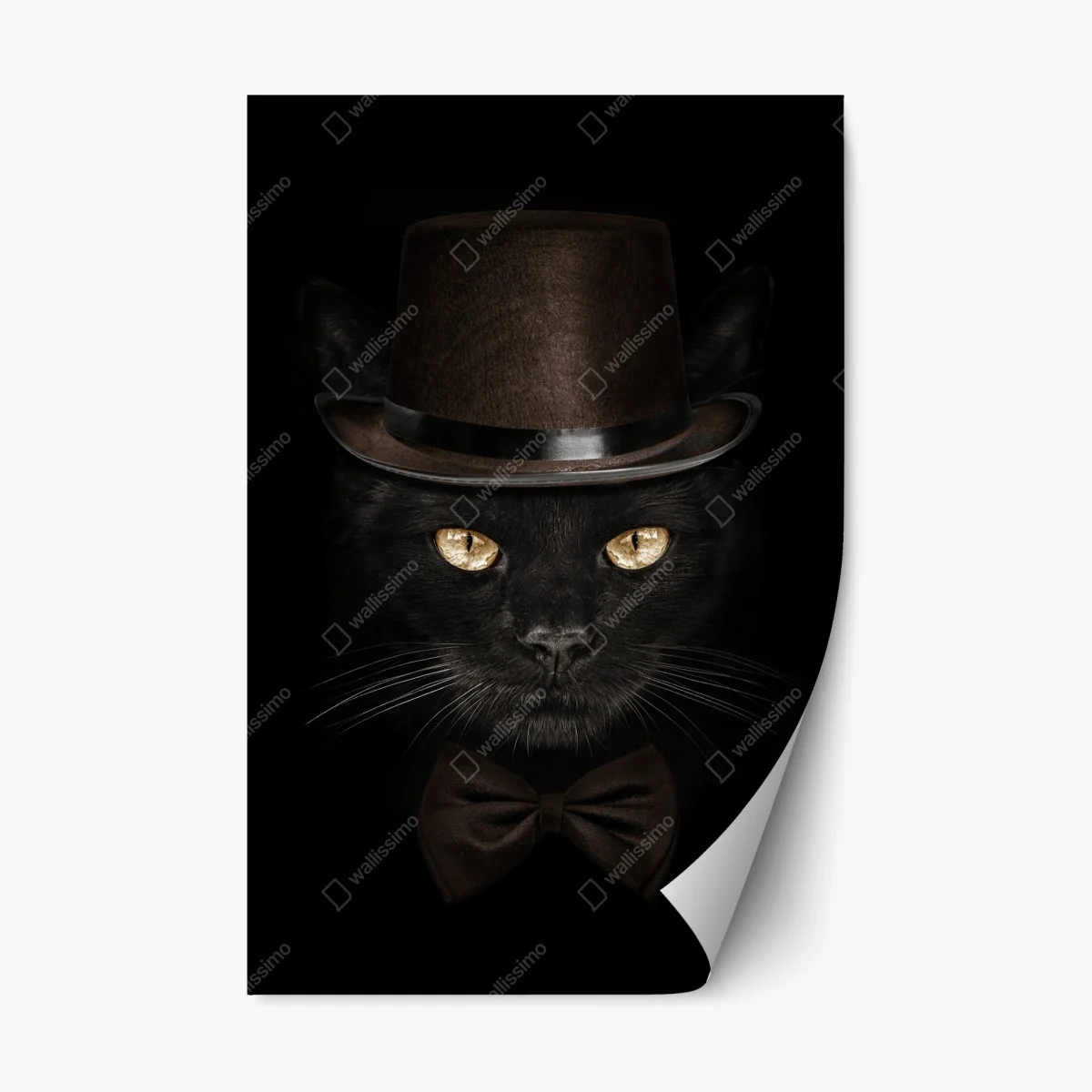 Sticker repositionnable chat élégant au chapeau haut-de-forme et nœud papillon – Wallnifity® Sticker repositionnable chat élégant au chapeau haut-de-forme et nœud papillon – Wallnifity®