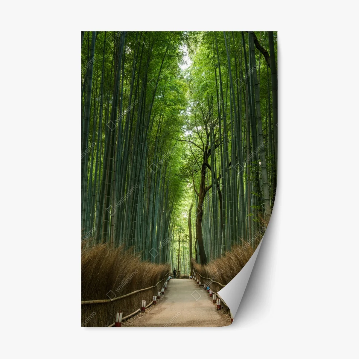Sticker repositionnable allée de bambous zen en perspective – Wallnifity® Sticker repositionnable allée de bambous zen en perspective – Wallnifity®