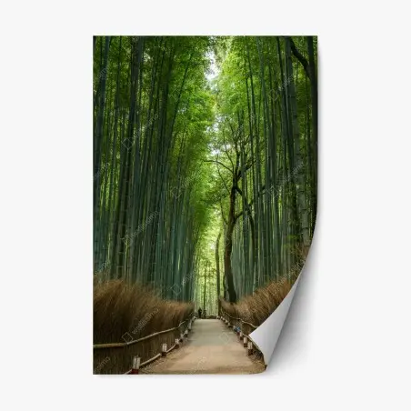 Sticker repositionnable allée de bambous zen en perspective – Wallnifity®