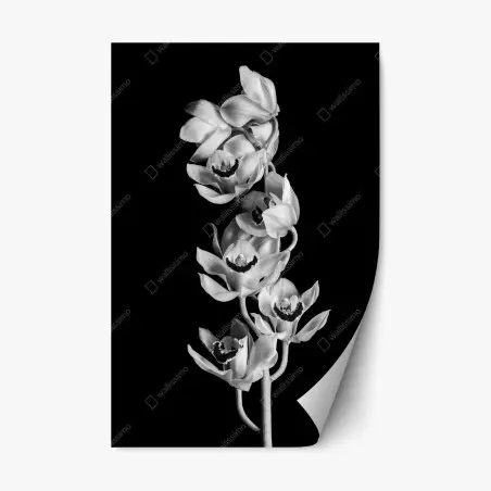 Sticker repositionnable orchidée monochrome élégance botanique – Wallnifity®