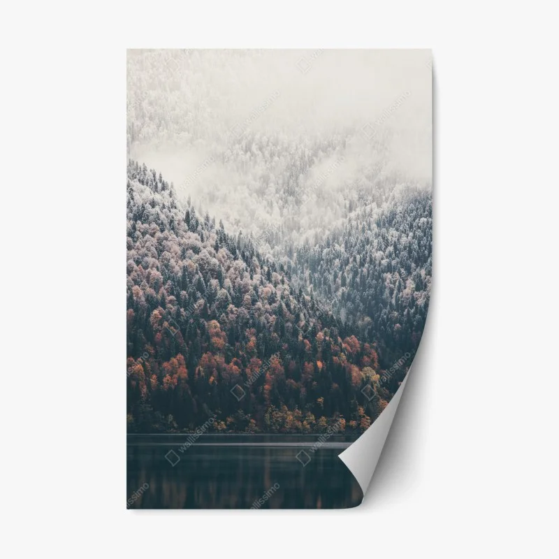 Stickers repositionnables – Wallnifity®