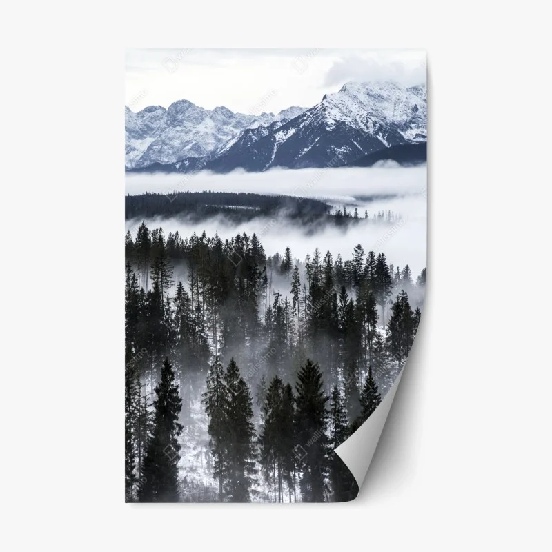 Nature – Wallnifity®