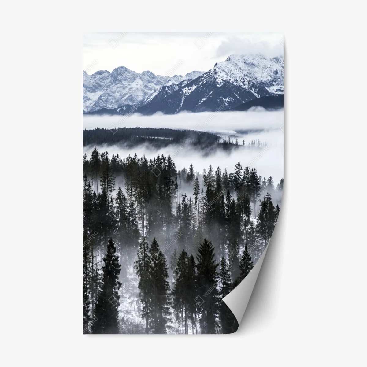Sticker repositionnable brume hivernale sur les Tatras – Wallnifity® Sticker repositionnable brume hivernale sur les Tatras – Wallnifity®