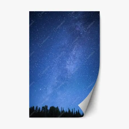 Sticker repositionnable la voie lactée au-dessus de la forêt – Wallnifity®