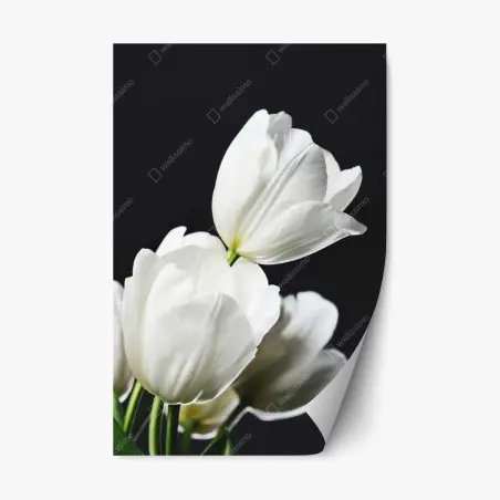 Sticker repositionnable bouquet de tulipes blanches sur fond noir – Wallnifity®