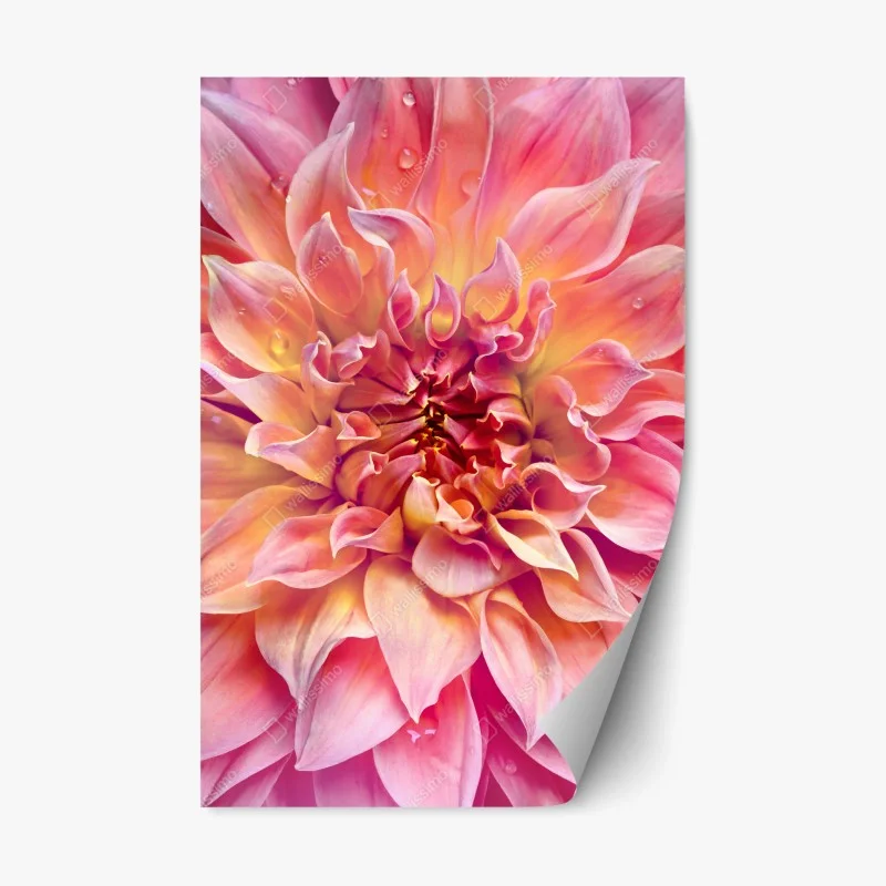 Fleurs et plantes – Wallnifity®