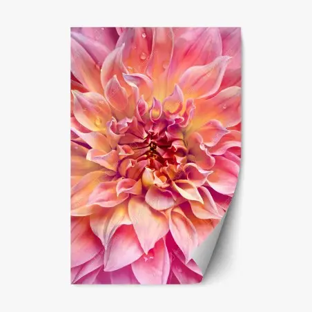 Sticker repositionnable éclat floral rose et pêche – Wallnifity®
