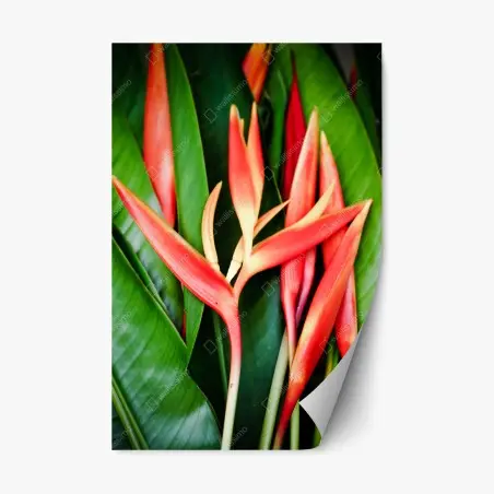 Sticker repositionnable fleurs tropicales rouges sur feuillage vert – Wallnifity®