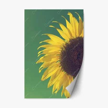 Sticker repositionnable tournesol rétro sur fond vert – Wallnifity®